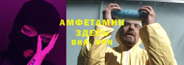 шишки Аркадак