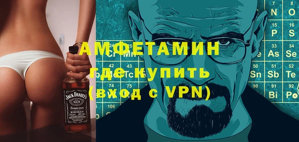 шишки Аркадак
